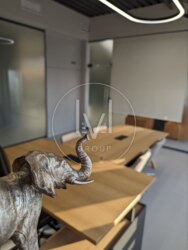 Deluxe Office S=430 sqr.m. фото 17 Deluxe Office S=430 sqr.m. фото 17