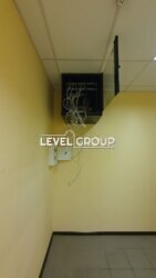 ������� ��'��� ����������� ����., 19, ���, �����'�������, �. ������������ �������� ���� 11