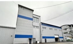 ������ ����������� ��������� � ��������������� �������� �� ������� ����� ���� ���� 5