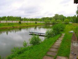 Продаж Сучасного Тепличного Комплексу та Діючого Бізнесу в Київській Області фото 11 Продаж Сучасного Тепличного Комплексу та Діючого Бізнесу в Київській Області фото 11