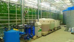 Продаж Сучасного Тепличного Комплексу та Діючого Бізнесу в Київській Області фото 5 Продаж Сучасного Тепличного Комплексу та Діючого Бізнесу в Київській Області фото 5